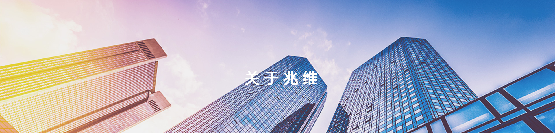 ��ϵ���ֹ���