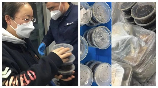 ���ֹ��ʡ�F66(�й���)�ٷ���վ